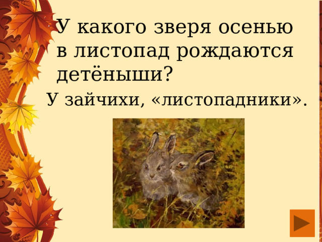 У какого зверя осенью в листопад рождаются детёныши? У зайчихи, «листопадники». 
