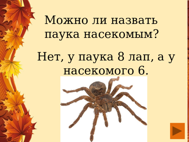 Можно ли назвать паука насекомым? Нет, у паука 8 лап, а у насекомого 6. 