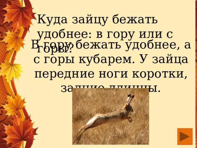 Куда зайцу бежать удобнее: в гору или с горы? В гору бежать удобнее, а с горы кубарем. У зайца передние ноги коротки, задние длинны. 