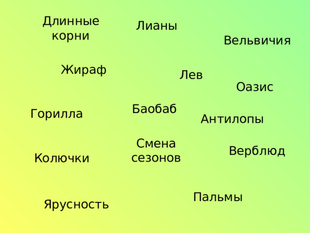 Длинные  корни Лианы Вельвичия  Жираф  Лев  Оазис  Баобаб  Горилла Антилопы Смена сезонов Верблюд  Колючки  Пальмы Ярусность 