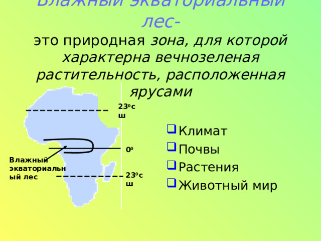 Влажный экваториальный лес-  это природная зона, для которой характерна вечнозеленая растительность, расположенная ярусами Климат Почвы Растения Животный мир 23 0 сш 0 0 Влажный экваториальный лес 23 0 сш 