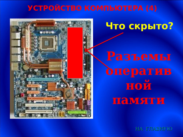 УСТРОЙСТВО КОМПЬЮТЕРА (4) Что скрыто? Разъемы оперативной памяти НА  ГЛАВНУЮ 