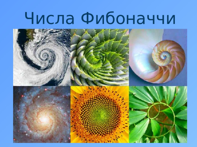 Числа Фибоначчи 