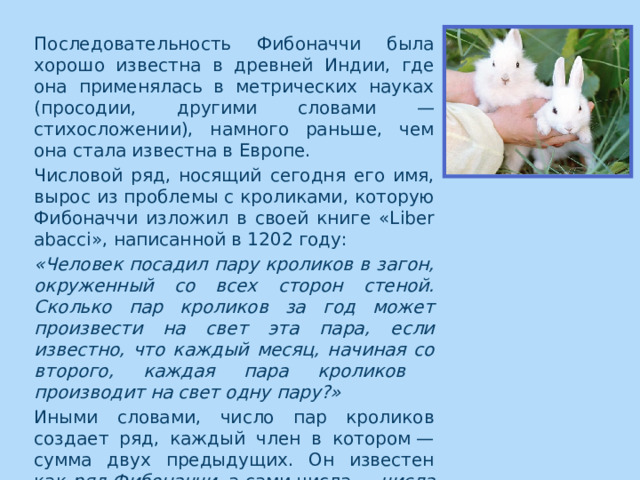 Последовательность Фибоначчи была хорошо известна в древней Индии, где она применялась в метрических науках (просодии, другими словами — стихосложении), намного раньше, чем она стала известна в Европе. Числовой ряд, носящий сегодня его имя, вырос из проблемы с кроликами, которую Фибоначчи изложил в своей книге «Liber abacci», написанной в 1202 году: «Человек посадил пару кроликов в загон, окруженный со всех сторон стеной. Сколько пар кроликов за год может произвести на свет эта пара, если известно, что каждый месяц, начиная со второго, каждая пара кроликов производит на свет одну пару?» Иными словами, число пар кроликов создает ряд, каждый член в котором — сумма двух предыдущих. Он известен как  ряд Фибоначчи , а сами числа —  числа Фибоначчи . 