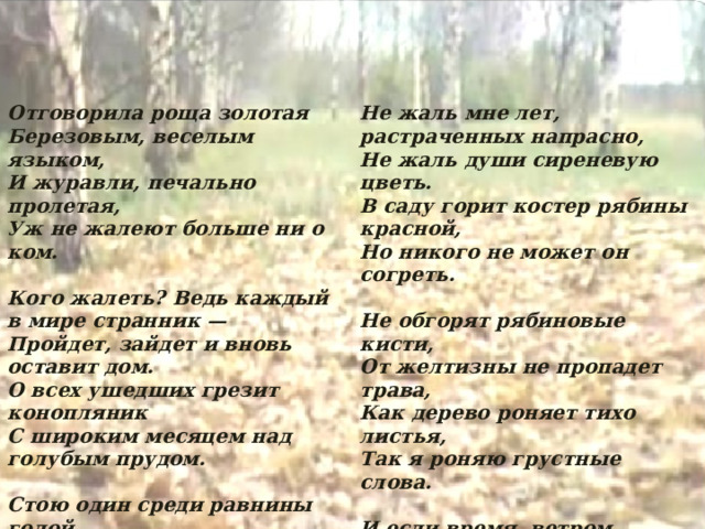 Отговорила роща золотая  Березовым, веселым языком,  И журавли, печально пролетая,  Уж не жалеют больше ни о ком. Не жаль мне лет, растраченных напрасно,  Не жаль души сиреневую цветь.  В саду горит костер рябины красной,  Но никого не может он согреть.  Кого жалеть? Ведь каждый в мире странник —  Пройдет, зайдет и вновь оставит дом.  О всех ушедших грезит конопляник  С широким месяцем над голубым прудом.  Не обгорят рябиновые кисти,  От желтизны не пропадет трава,  Как дерево роняет тихо листья,  Так я роняю грустные слова.   Стою один среди равнины голой,  А журавлей относит ветер в даль,  Я полон дум о юности веселой,  Но ничего в прошедшем мне не жаль.  И если время, ветром разметая,  Сгребет их все в один ненужный ком…  Скажите так… что роща золотая  Отговорила милым языком. 1924г. 