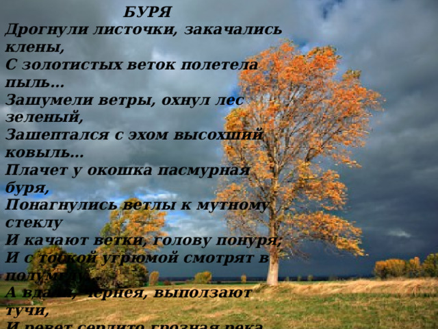 БУРЯ Дрогнули листочки, закачались клены,  С золотистых веток полетела пыль…  Зашумели ветры, охнул лес зеленый,  Зашептался с эхом высохший ковыль… Плачет у окошка пасмурная буря,  Понагнулись ветлы к мутному стеклу  И качают ветки, голову понуря,  И с тоской угрюмой смотрят в полумглу… А вдали, чернея, выползают тучи,  И ревет сердито грозная река,  Подымают брызги водяные кручи,  Словно мечет землю сильная рука.     1915 г. 