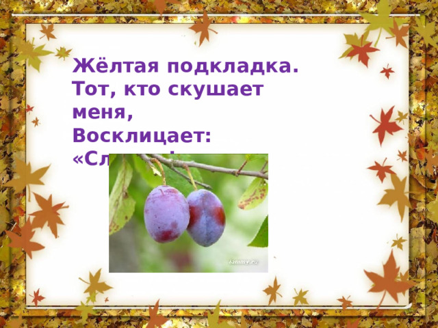Жёлтая подкладка. Тот, кто скушает меня, Восклицает: «Сладко!» 