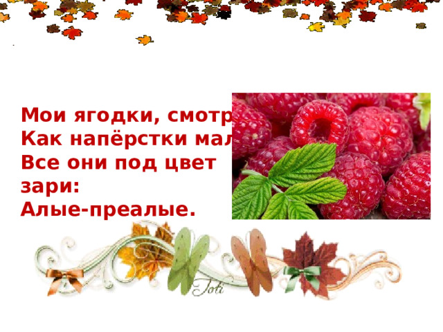 Мои ягодки, смотри, Как напёрстки малые, Все они под цвет зари: Алые-преалые. 