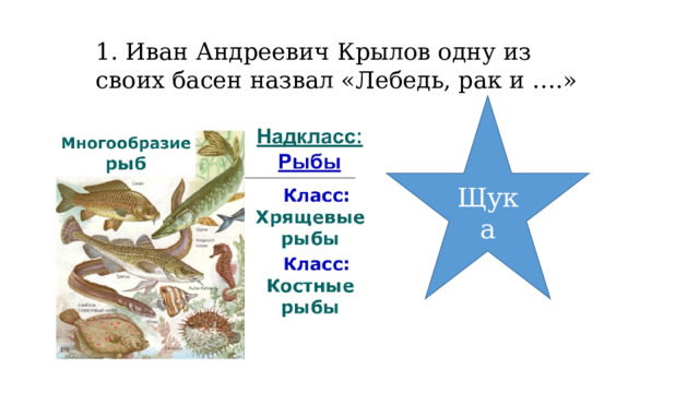 1. Иван Андреевич Крылов одну из своих басен назвал «Лебедь, рак и ….» Щука 