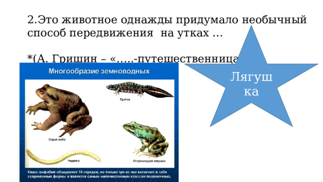 2.Это животное однажды придумало необычный способ передвижения на утках … *(А. Гришин – «…..-путешественница) Лягушка 