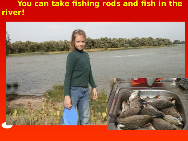  You can take fishing rods and fish in the river!   