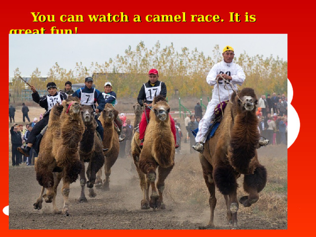  You can watch a c amel rac e. It is great fun!   