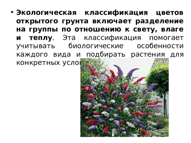 Экологическая классификация цветов открытого грунта включает разделение на группы по отношению к свету, влаге и теплу . Эта классификация помогает учитывать биологические особенности каждого вида и подбирать растения для конкретных условий произрастания. 