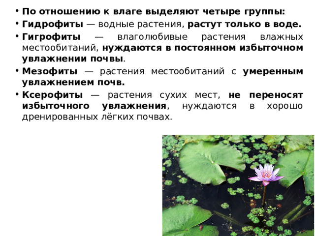 По отношению к влаге выделяют четыре группы: Гидрофиты — водные растения, растут только в воде. Гигрофиты — влаголюбивые растения влажных местообитаний, нуждаются в постоянном избыточном увлажнении почвы . Мезофиты — растения местообитаний с умеренным увлажнением почв. Ксерофиты — растения сухих мест, не переносят избыточного увлажнения , нуждаются в хорошо дренированных лёгких почвах. 
