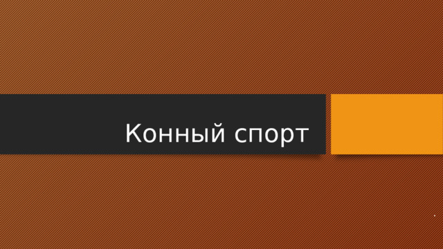 Конный спорт . 