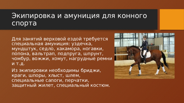 Экипировка и амуниция для конного спорта Для занятий верховой ездой требуется специальная амуниция: уздечка, мундштук, седло, хакамора, ногавки, попона, вальтрап, подпруга, шпрунт, чомбур, вожжи, хомут, нагрудные ремни и т.д. Из экипировки необходимы бриджи, краги, шпоры, хлыст, шлем, специальные сапоги, перчатки, защитный жилет, специальный костюм. 