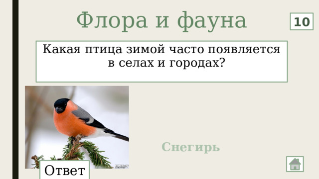 Флора и фауна   10 Какая птица зимой часто появляется в селах и городах? Снегирь Ответ: 