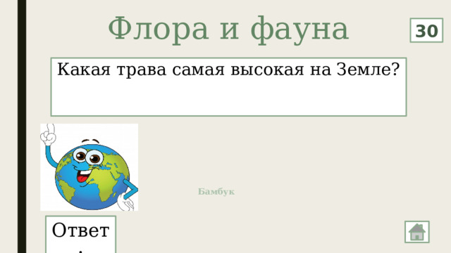 Флора и фауна   30 Какая трава самая высокая на Земле? Бамбук Ответ: 