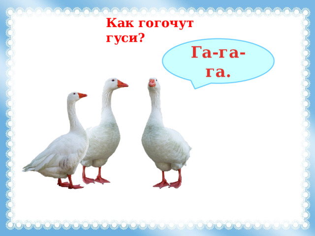 Как гогочут гуси? Га-га-га. 