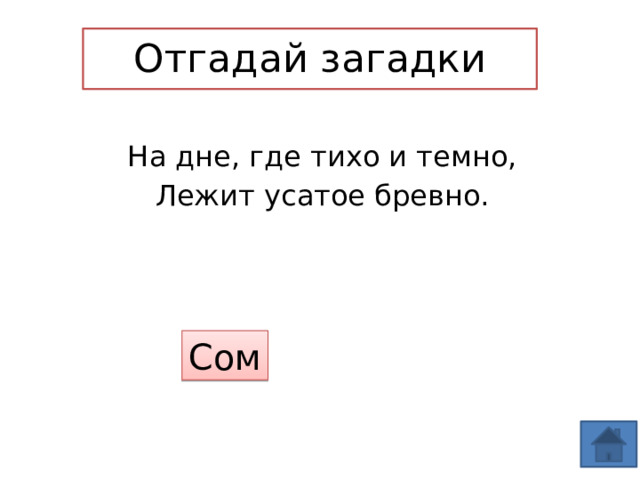 Отгадай загадки На дне, где тихо и темно, Лежит усатое бревно. Сом 