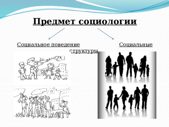 Предмет социологии    Социальное поведение  Социальные структуры   