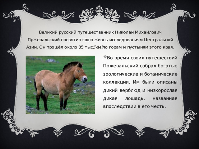 Великий русский путешественник Николай Михайлович Пржевальский посвятил свою жизнь исследованиям Центральной Азии. Он прошёл около 35 тыс. км по горам и пустыням этого края.    Во время своих путешествий Пржевальский собрал богатые зоологические и ботанические коллекции. Им были описаны дикий верблюд и низкорослая дикая лошадь, названная впоследствии в его честь. 