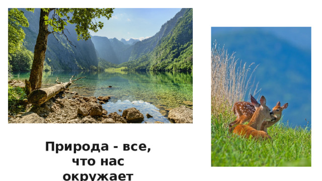 Природа - все, что нас окружает 