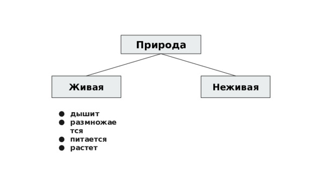 Природа Живая Неживая дышит размножается питается растет 