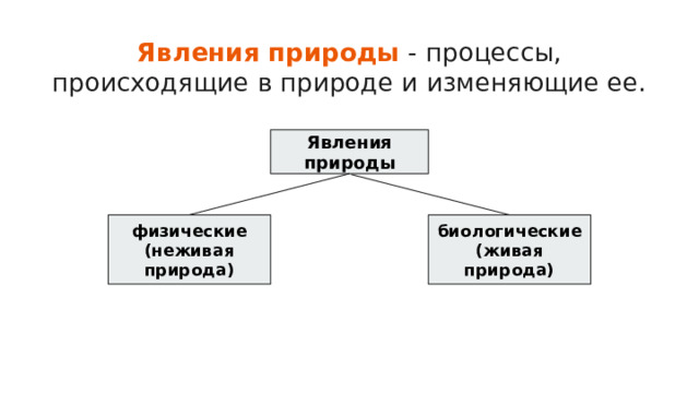 Явления природы - процессы, происходящие в природе и изменяющие ее. Явления природы физические биологические (неживая природа) (живая природа) 