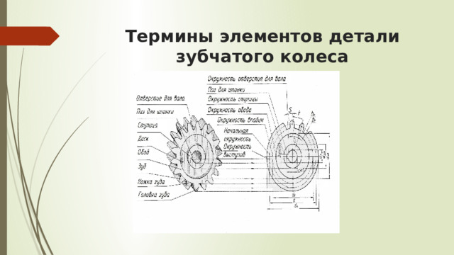 Термины элементов детали зубчатого колеса 