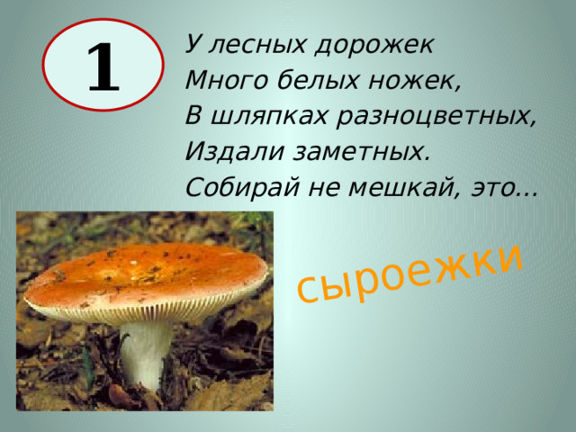 сыроежки 1 У лесных дорожек Много белых ножек, В шляпках разноцветных, Издали заметных. Собирай не мешкай, это… 
