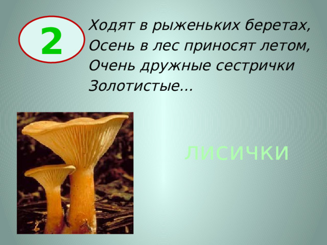 Ходят в рыженьких беретах, Осень в лес приносят летом, Очень дружные сестрички Золотистые… 2 лисички 