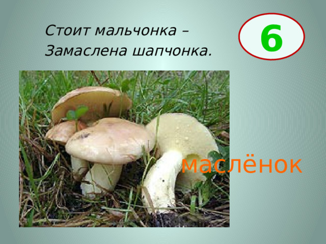 6 Стоит мальчонка – Замаслена шапчонка. маслёнок 