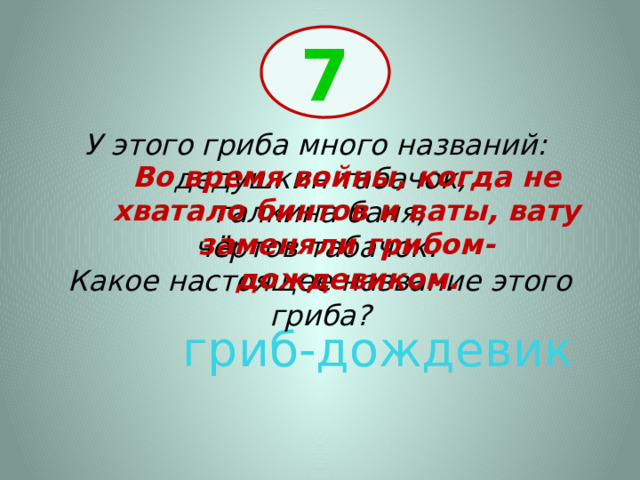 7 У этого гриба много названий: дедушкин табачок,  галкина баня, чёртов табачок. Какое настоящее название этого гриба? Во время войны, когда не хватало бинтов и ваты, вату заменяли грибом-дождевиком. гриб-дождевик 
