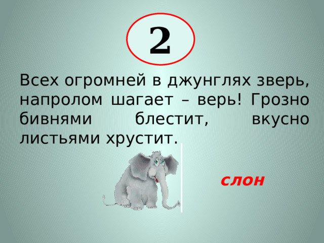 2 Всех огромней в джунглях зверь, напролом шагает – верь! Грозно бивнями блестит, вкусно листьями хрустит. слон 