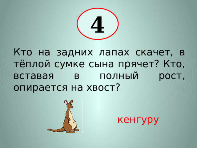 4 Кто на задних лапах скачет, в тёплой сумке сына прячет? Кто, вставая в полный рост, опирается на хвост? кенгуру 