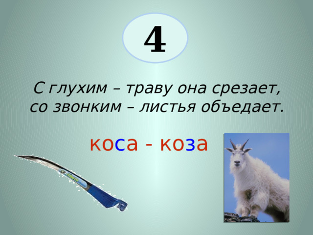 4 С глухим – траву она срезает, со звонким – листья объедает. ко с а - ко з а 