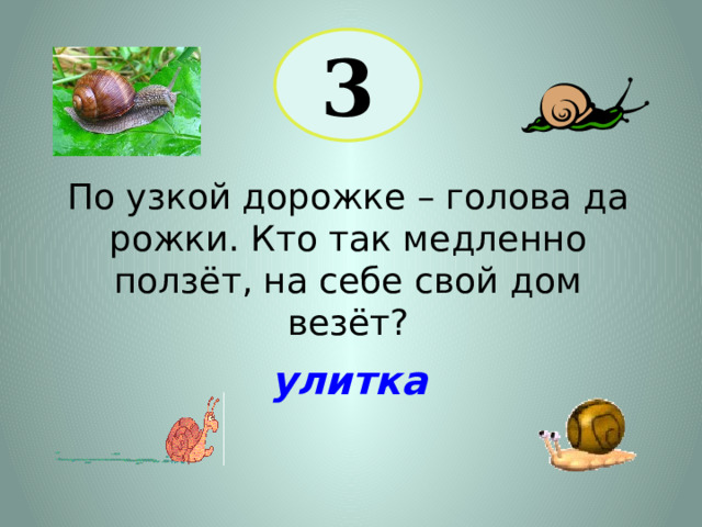 3 По узкой дорожке – голова да рожки. Кто так медленно ползёт, на себе свой дом везёт? улитка 