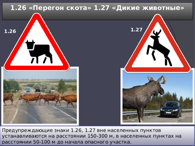 1.26 «Перегон скота» 1.27 «Дикие животные»  1.27 1.26 Предупреждающие знаки 1.26, 1.27 вне населенных пунктов устанавливаются на расстоянии 150-300 м, в населенных пунктах на расстоянии 50-100 м до начала опасного участка. 