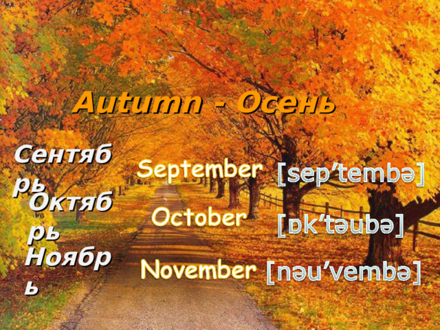 Autumn - Осень Сентябрь Октябрь Ноябрь 