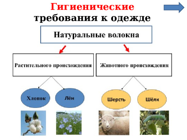 Гигиенические  требования к одежде   Свобода дыхания и движений Итак, по гигиеническим требованиям ткань должна хорошо пропускать воздух, впитывать влагу, сохранять тепло(1,2) Хорошие гигиенические свойства имеют ткани из натуральных волокон – хлопчатобумажные, льняные, шелковые, шерстяные (нажать на стрелку).  Пропускает воздух  Впитывает влагу  Сохраняет тепло 11 
