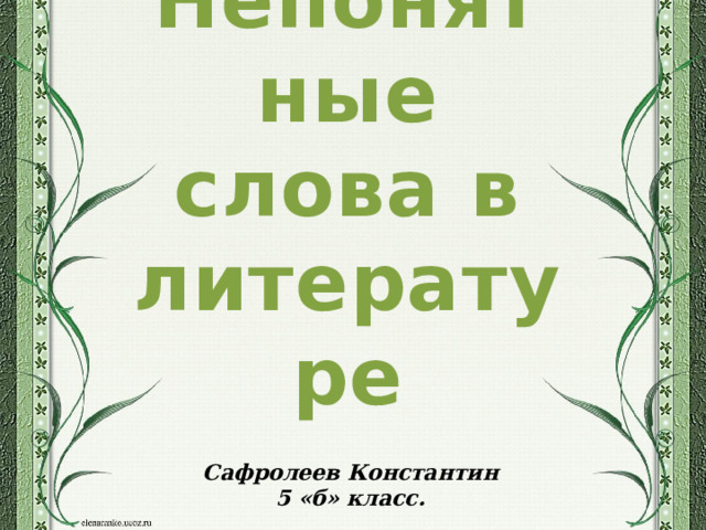Непонятные слова в литературе Сафролеев Константин 5 «б» класс. 