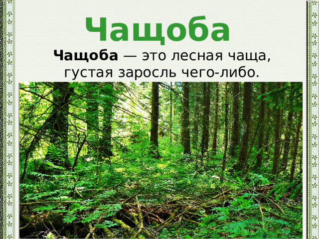 Чащоба  Чащоба  — это лесная чаща, густая заросль чего-либо. 