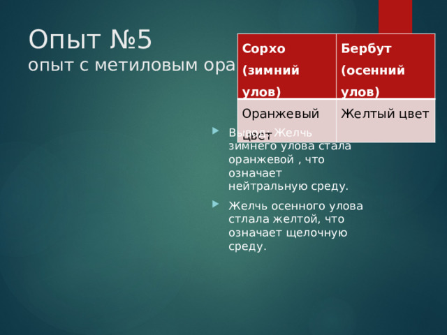 Опыт №5  опыт с метиловым оранжевым Сорхо (зимний улов) Бербут Оранжевый цвет (осенний улов) Желтый цвет Вывод: Желчь зимнего улова стала оранжевой , что означает нейтральную среду. Желчь осенного улова стлала желтой, что означает щелочную среду. 