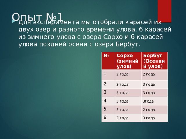 Опыт №1   Для эксперимента мы отобрали карасей из двух озер и разного времени улова. 6 карасей из зимнего улова с озера Сорхо и 6 карасей улова поздней осени с озера Бербут. № Сорхо (зимний улов) 1 Бербут (Осенний улов) 2 года 2 3 года 3 2 года 3 года 2 года 4 3 года 3 года 5 3года 2 года 6 2 года 2 года 3 года 