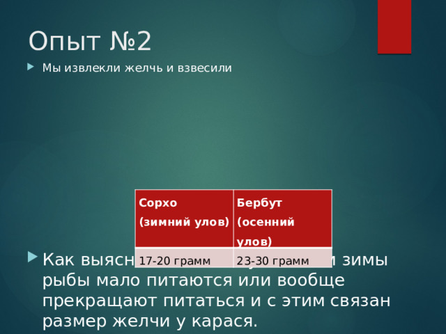 Опыт №2 Мы извлекли желчь и взвесили Как выяснилось с наступлением зимы рыбы мало питаются или вообще прекращают питаться и с этим связан размер желчи у карася. Сорхо 17-20 грамм (зимний улов) Бербут 23-30 грамм (осенний улов) 