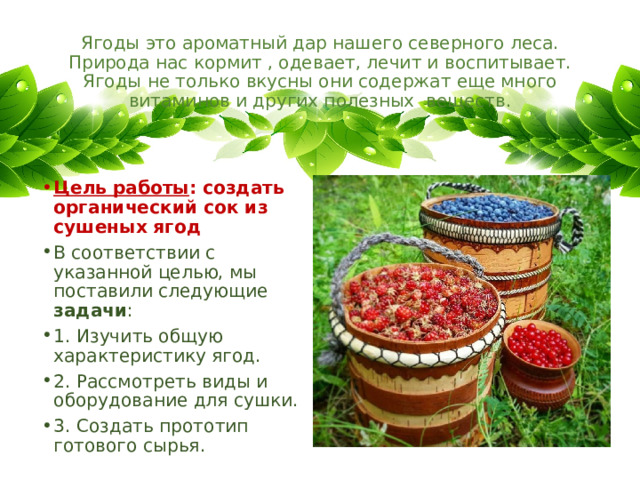 Ягоды это ароматный дар нашего северного леса. Природа нас кормит , одевает, лечит и воспитывает. Ягоды не только вкусны они содержат еще много витаминов и других полезных  веществ. Цель работы : создать органический сок из сушеных ягод В соответствии с указанной целью, мы поставили следующие задачи : 1. Изучить общую характеристику ягод. 2. Рассмотреть виды и оборудование для сушки. 3. Создать прототип готового сырья. 