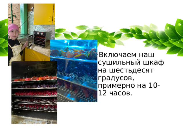 Включаем наш сушильный шкаф на шестьдесят градусов, примерно на 10-12 часов. Включаем наш сушильный шкаф на шестьдесят градусов, примерно на 10-12 часов. 