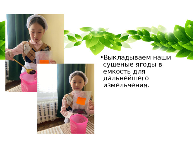 Выкладываем наши сушеные ягоды в емкость для дальнейшего измельчения. Выкладываем наши сушеные ягоды в емкость для дальнейшего измельчения. 