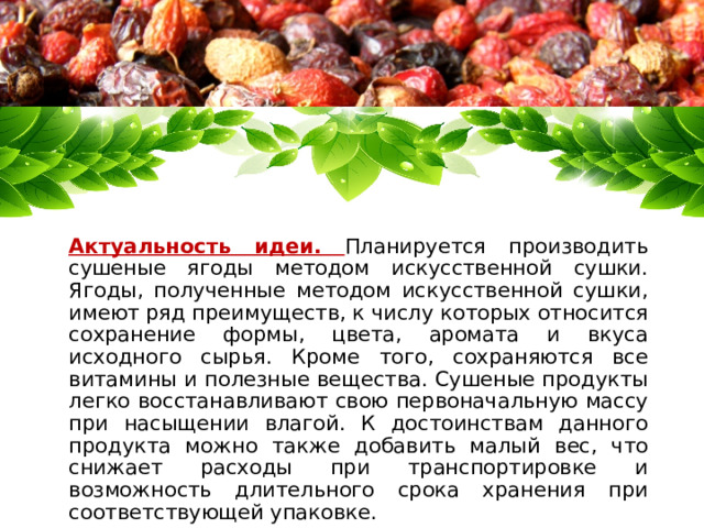     Актуальность идеи.  Планируется производить сушеные ягоды методом искусственной сушки. Ягоды, полученные методом искусственной сушки, имеют ряд преимуществ, к числу которых относится сохранение формы, цвета, аромата и вкуса исходного сырья. Кроме того, сохраняются все витамины и полезные вещества. Сушеные продукты легко восстанавливают свою первоначальную массу при насыщении влагой. К достоинствам данного продукта можно также добавить малый вес, что снижает расходы при транспортировке и возможность длительного срока хранения при соответствующей упаковке. 